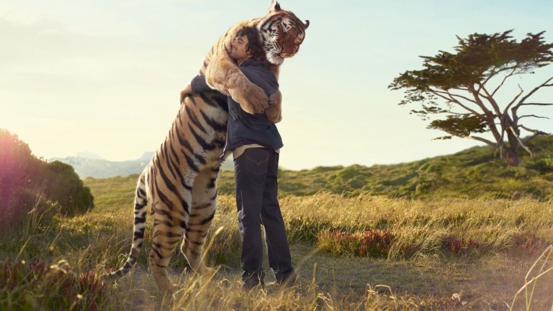 tiger-hugs-man