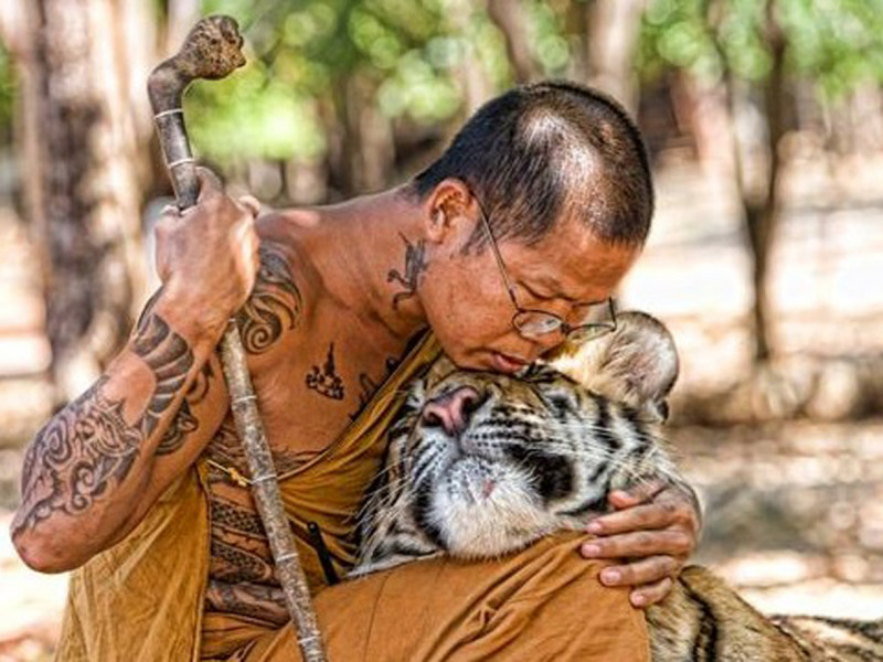 monk-and-tiger