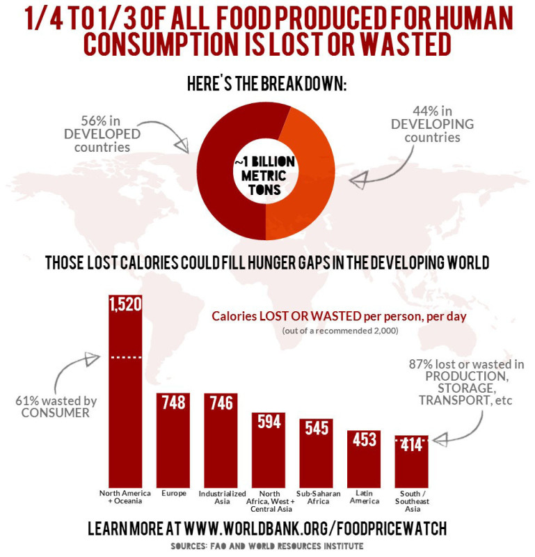 food-waste-infographic