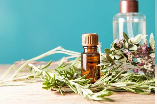 essential_oils_against_insects